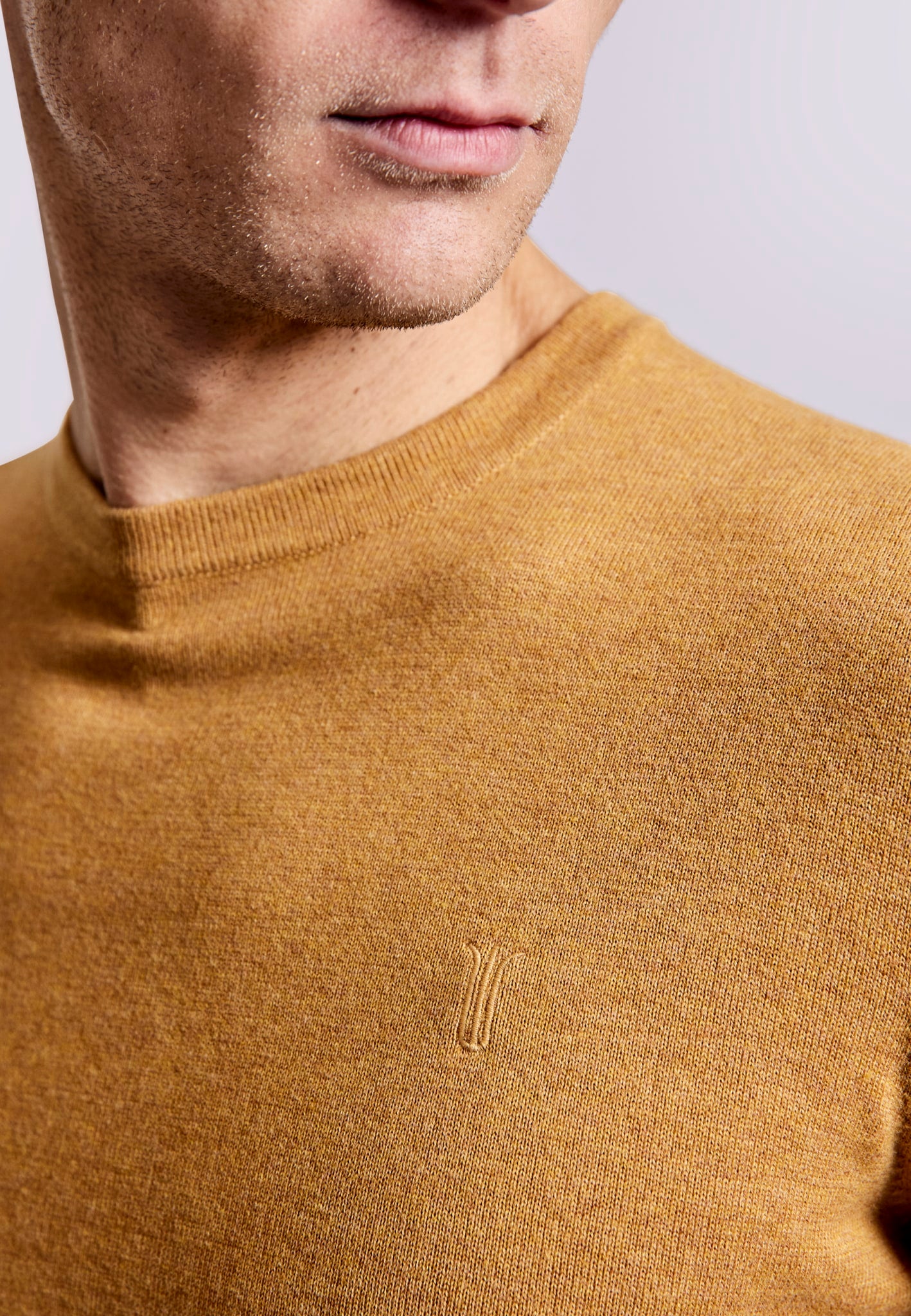 BS Jupiter Regular Fit Knitwear - Tan