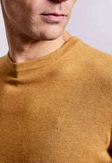 BS Jupiter Regular Fit Knitwear - Tan