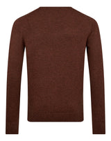 BS Jupiter Regular Fit Knitwear - Fall