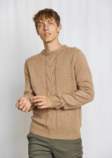 BS Tormod Regular Fit Knitwear - Brown