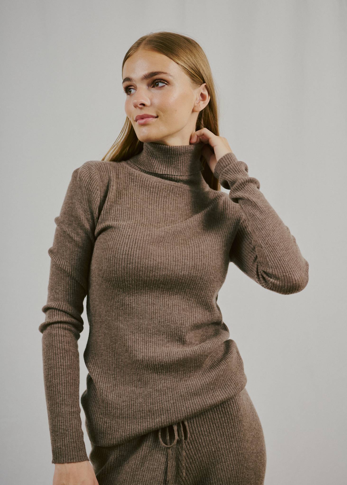 BS Hege Regular Fit Knitwear - Mole