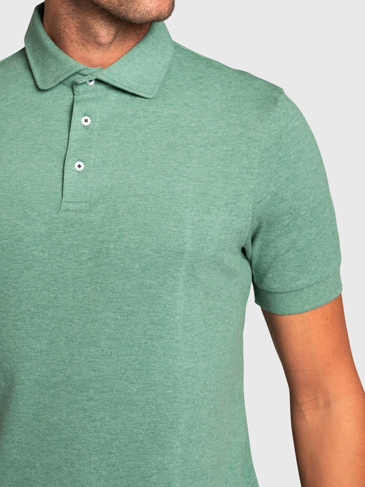 BS Fiji Regular Fit Polo Shirt - Green