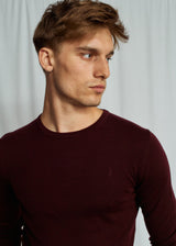 BS Jupiter Regular Fit Knitwear - Bordeaux