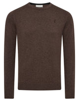 BS Jupiter Regular Fit Knitwear - Brown