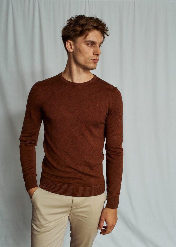 BS Jupiter Regular Fit Knitwear - Fall