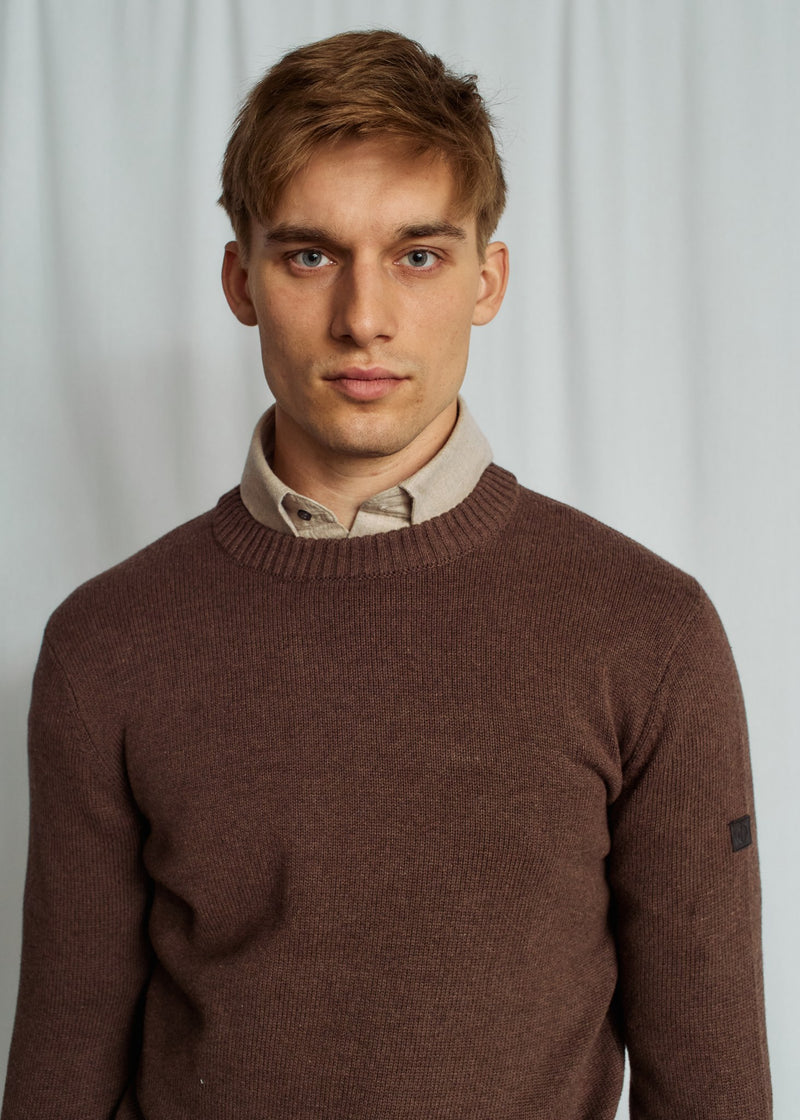 BS Azure Regular Fit Knitwear - Brown