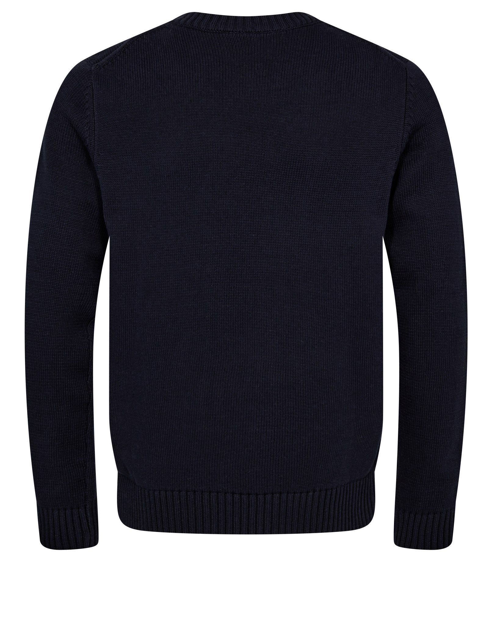 BS Azure Regular Fit Knitwear - Navy