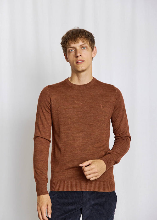 BS Jupiter Regular Fit Knitwear - Fall