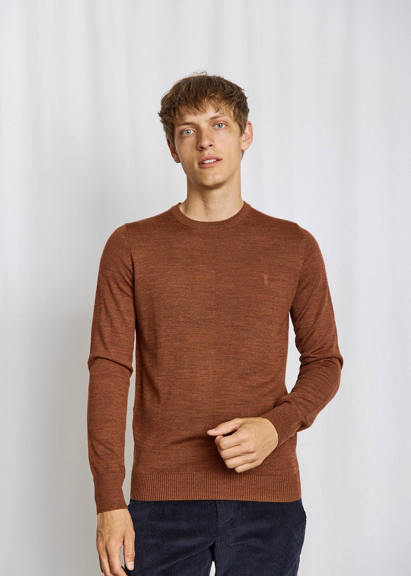 BS Jupiter Regular Fit Knitwear - Fall