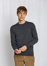 BS Jupiter Regular Fit Knitwear - Grey