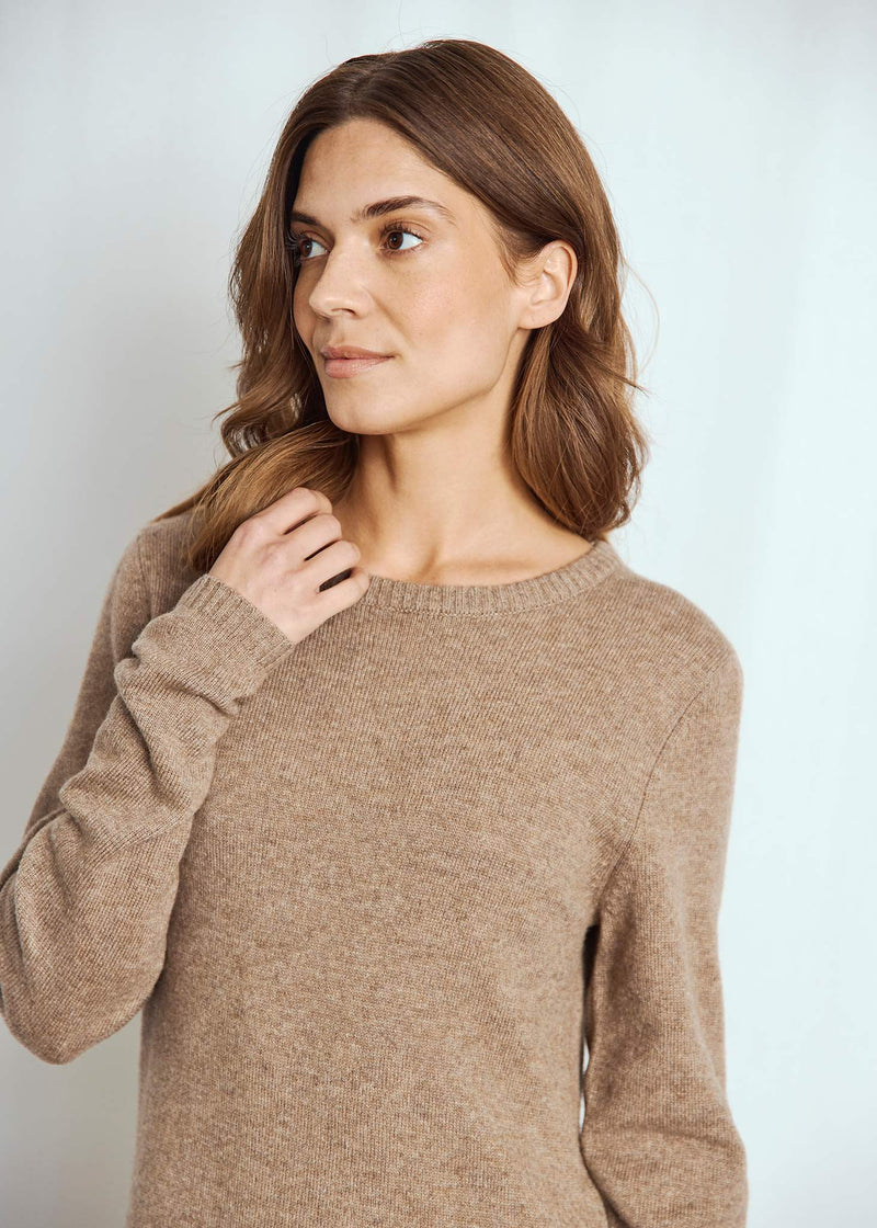 BS Iselin Regular Fit Dress - Brown