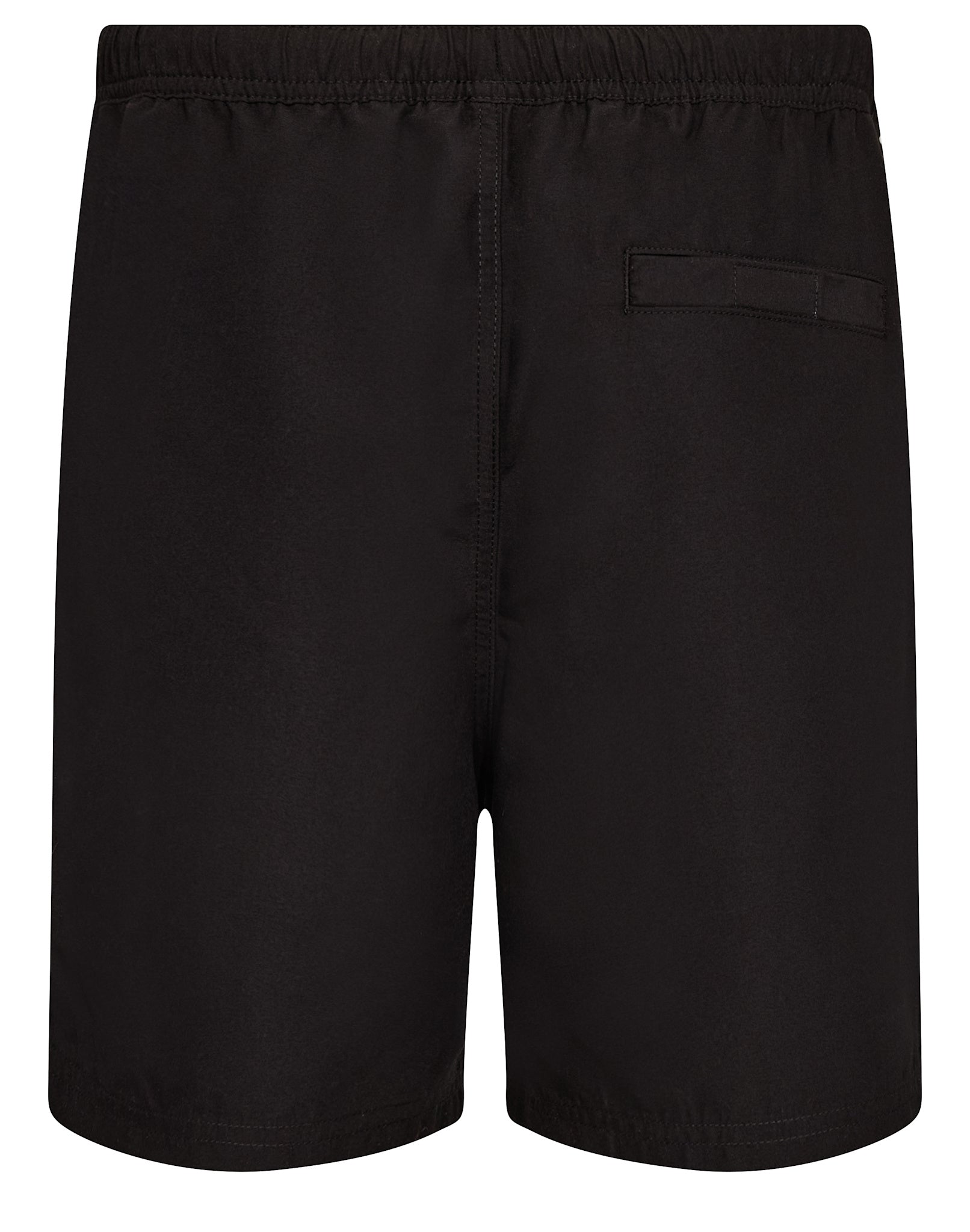 BS Havana Regular Fit Swim  - Black