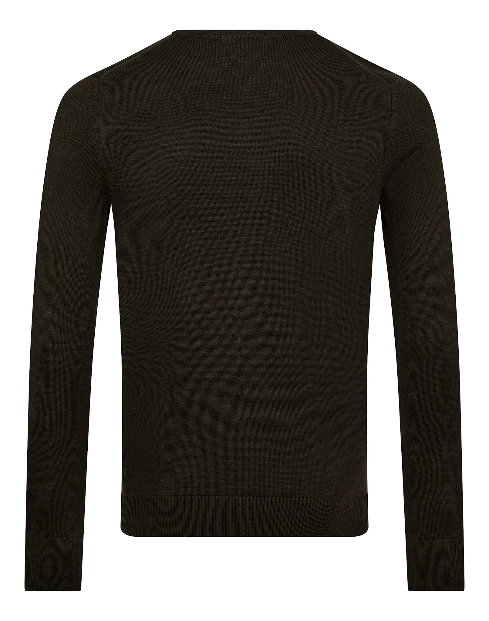BS Jupiter Regular Fit Knitwear - Green