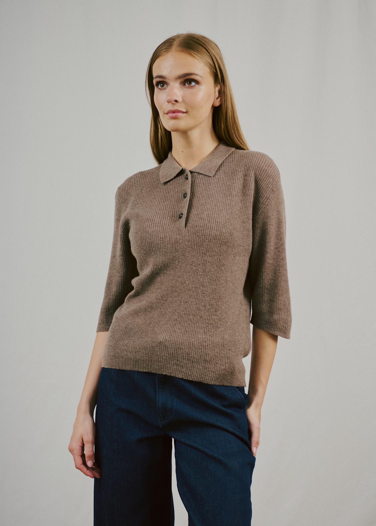 BS Agna Regular Fit Knitwear - Mole