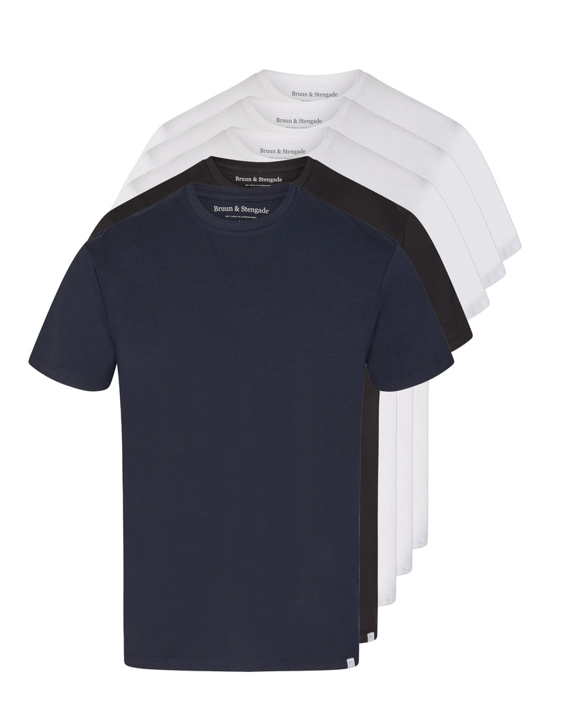 BS Antiqua Regular Fit T-Shirt - White, White, White, Black & Navy