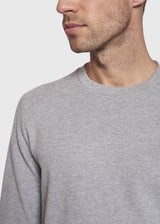 BS Saki Regular Fit Sweatshirt Grå